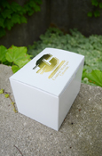 Action C Central Michigan University Medium Gift Box<br><brand></brand>