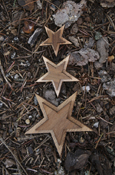 Double Oak Wood Star