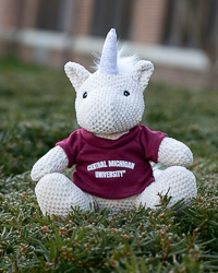 Open Weave Unicorn with Central Michigan University T-Shirt