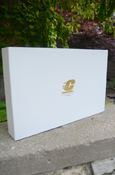 Action C Central Michigan University Large Apparel Gift Box