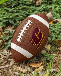 Action C Official Size Baden Composite Leather Football