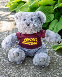 Gray Plush Bear with Central Michigan T-Shirt