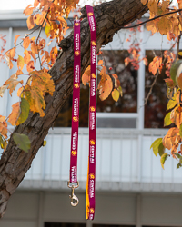 Action C Central Michigan University Maroon & Gold Pet Leash