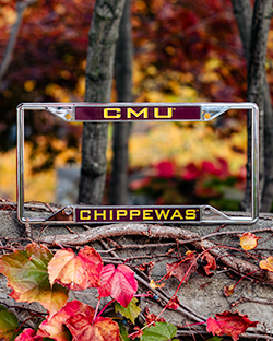 CMU Chippewas Maroon & Gold License Plate Frame